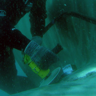 Propeller and Seal Cleaning